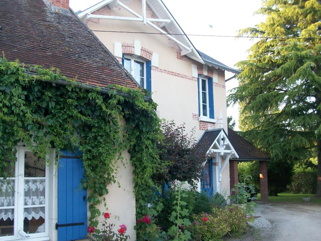 Loire, Chateaux, Et Vignes Onzain Ngoại thất bức ảnh